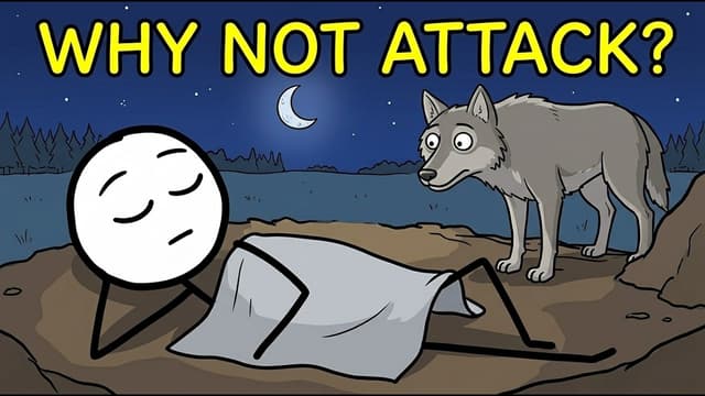 Why Do Predators Ignore Sleeping Humans?
